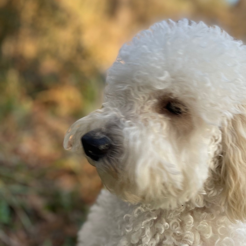 Meet your Posher, Cindy